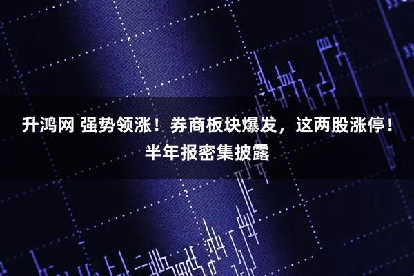 升鸿网 强势领涨！券商板块爆发，这两股涨停！半年报密集披露