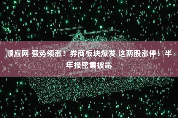 顺应网 强势领涨！券商板块爆发 这两股涨停！半年报密集披露