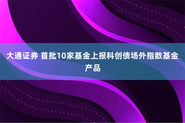 大通证券 首批10家基金上报科创债场外指数基金产品